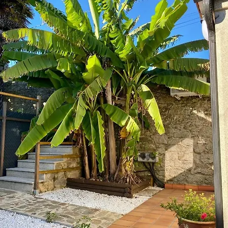 Cotolai Santiago de Compostella