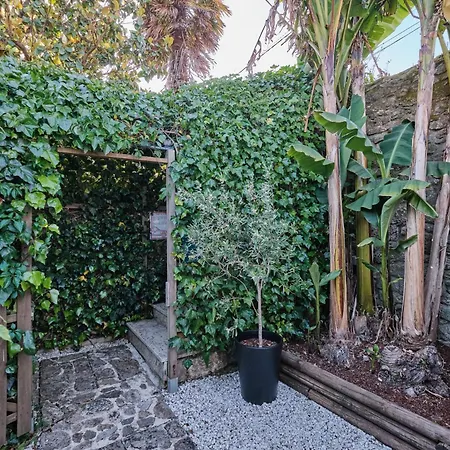 Apartment Cotolai