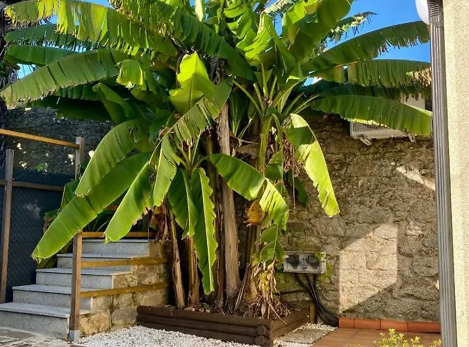 Cotolai Santiago de Compostela