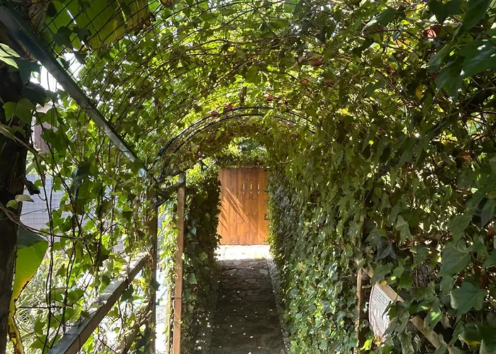 Cotolai Appartement